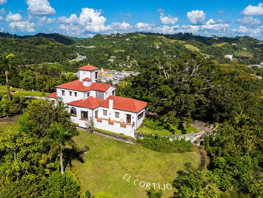 Castillo El Cortijo